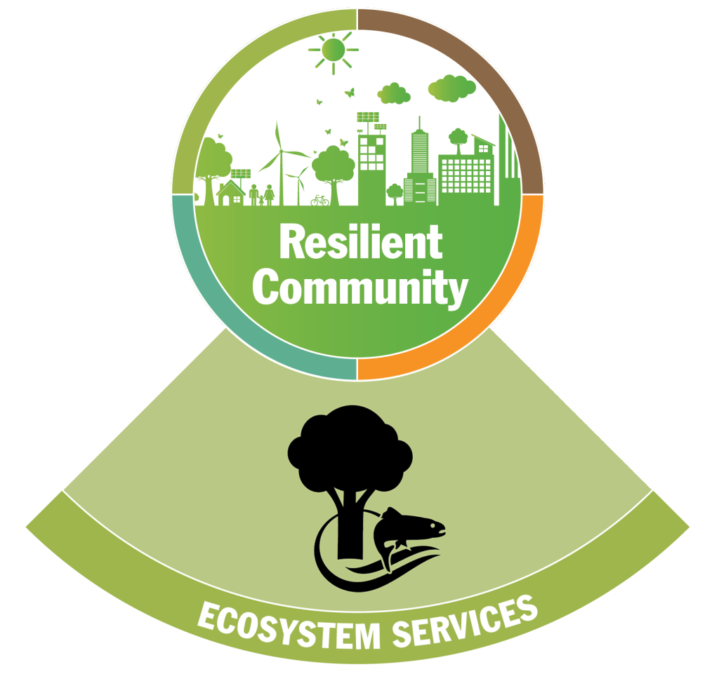 Ecosystem Services