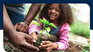 How Greening Communities Can Reduce Violence and Promote Health