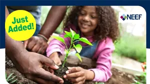 How Greening Communities Can Reduce Violence and Promote Health